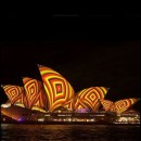 Subject-Specific Curriculum Audit: Digital Technologies